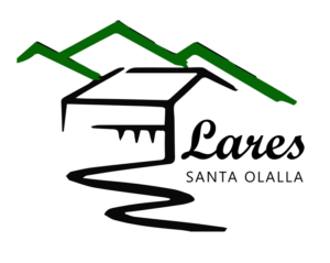 Logo Lares